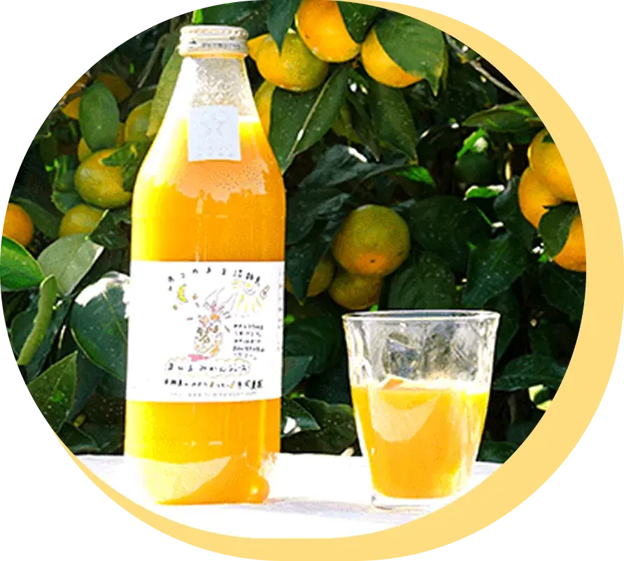 みかんジュース画像